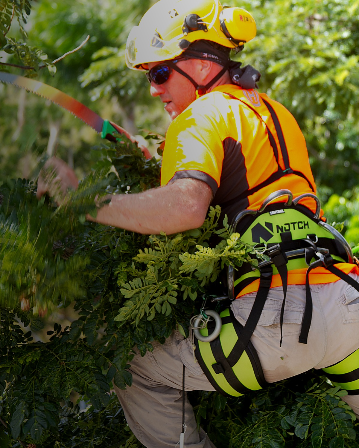 ECOSURE TREEFELLERS poster